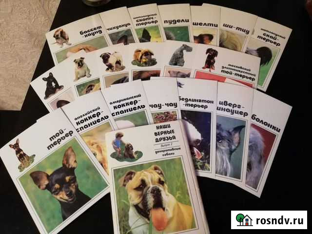 Открытки Собаки Кашира - изображение 1