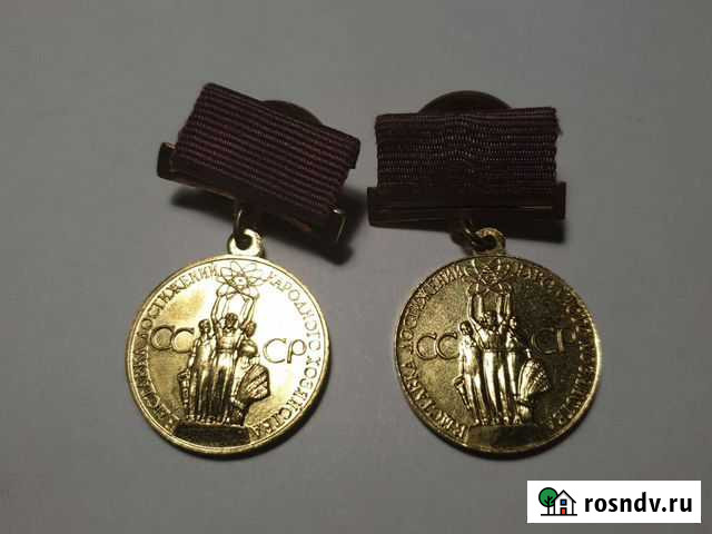 Медаль за успехи в народном хозяйстве Кингисепп - изображение 1