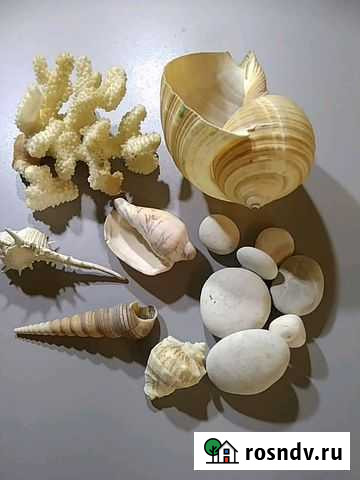 Аквариум аксессуары Егорьевск - изображение 1