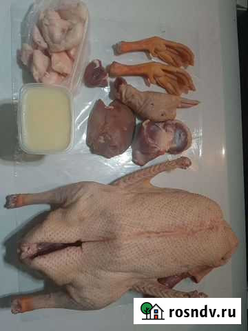 Мясо гуся,потроха,жир, оптом,деревенские гуси Набережные Челны - изображение 1