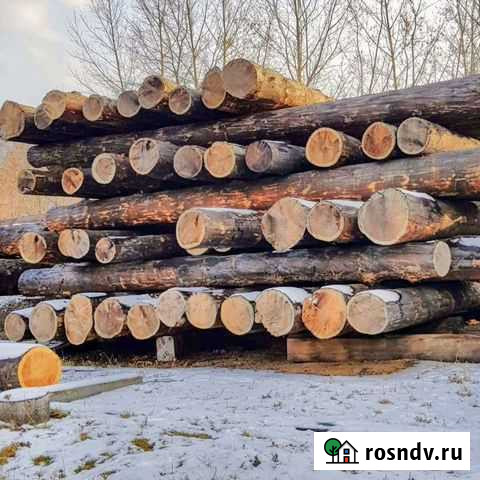 Сруб дома из кедра Санкт-Петербург - изображение 1