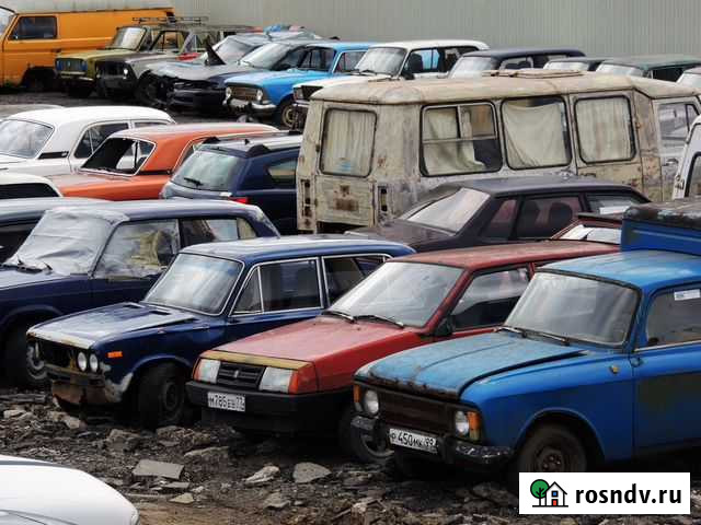 Атохлам Жиздра - изображение 1