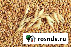 Комбикорма,Хлопья,зерновые, доставка по Куйбышеву Куйбышев - изображение 1