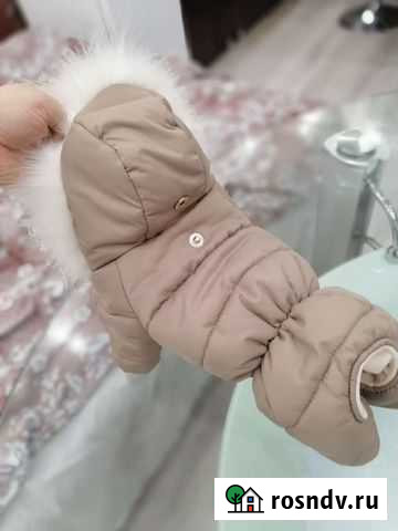 Зимний наряд для маленькой собачки Североморск - изображение 1