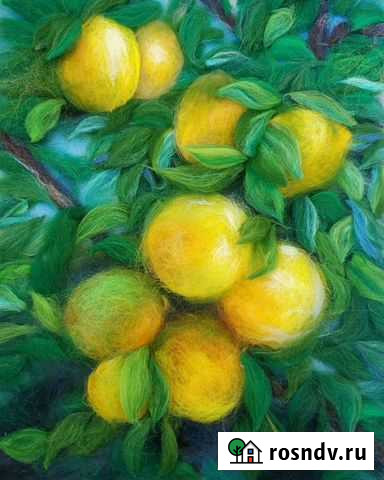 Картина Лимоны Краснодар - изображение 1