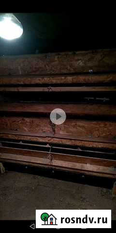 Брудер для цыплят Промышленная - изображение 1