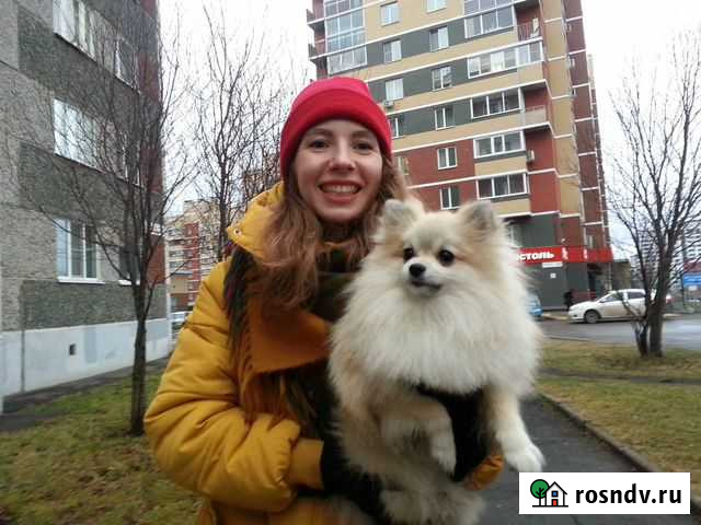 Дрессировка собак Альметьевск Альметьевск - изображение 1