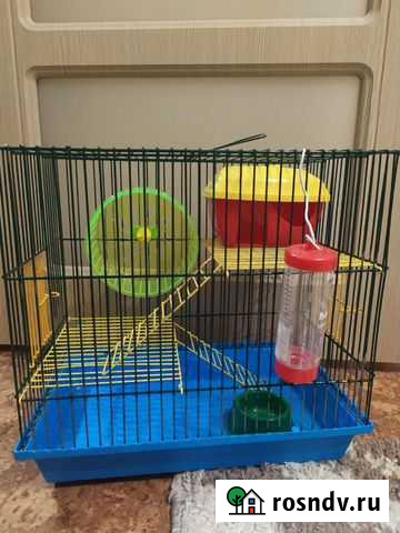 Клетка Липецк - изображение 1