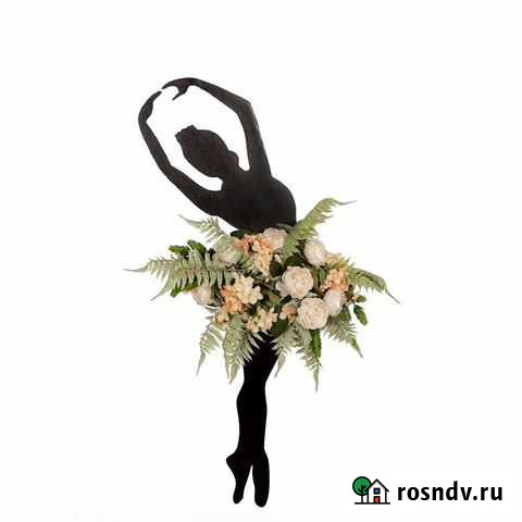 Фитокартина Балерина Белгород - изображение 1