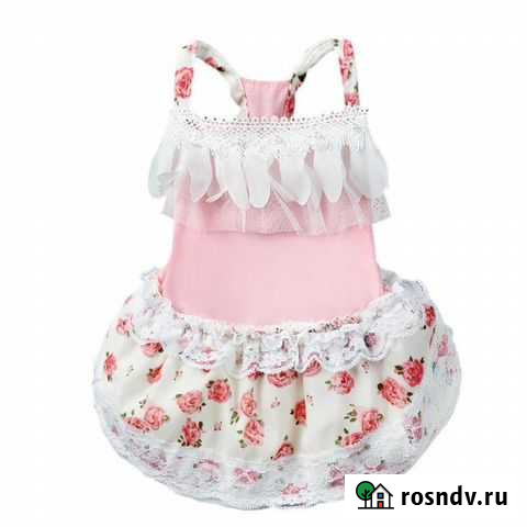 Одежда для маленькой собачки Кострома - изображение 1