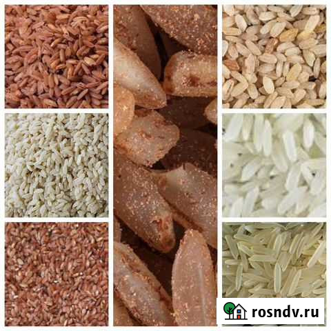 Узбекский рис Волгоград Волгоград - изображение 1