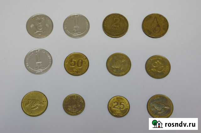 Монеты Мальдивы. Мальдивские Острова Березники - изображение 1