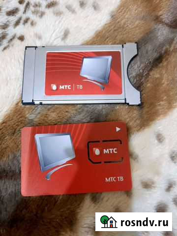 Тв модуль Рудня - изображение 1