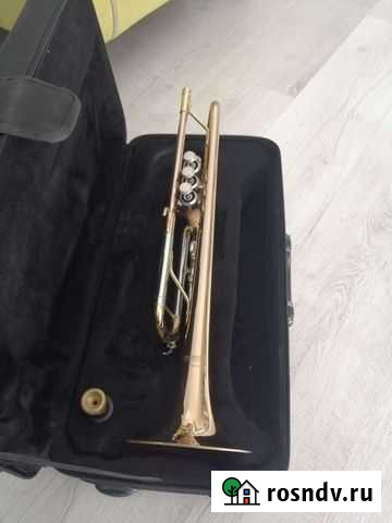 Труба музыкальная wisemann DTR-400 Волгоград - изображение 1