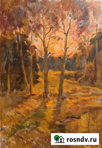 Картина Садится солнце Шадринск - изображение 1