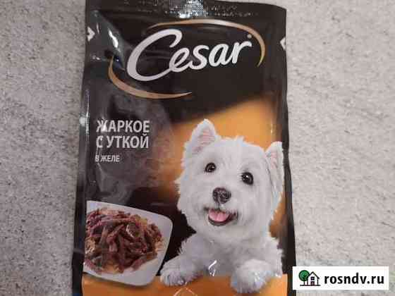 Корм для собак Волгодонск