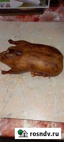 Холодное и горячее копчение Коржевский - изображение 1