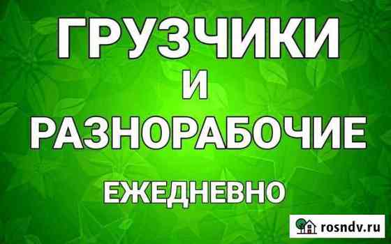 Услуги грузчиков Владимир