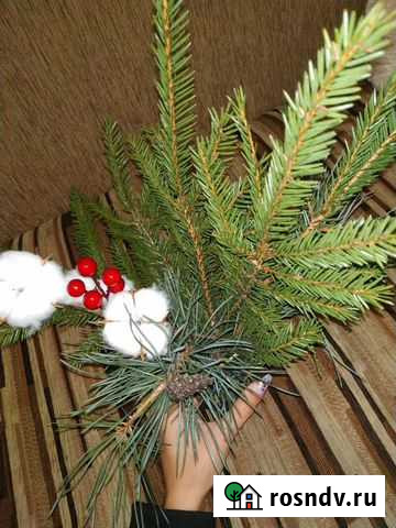 Новогодние букеты Людиново - изображение 1