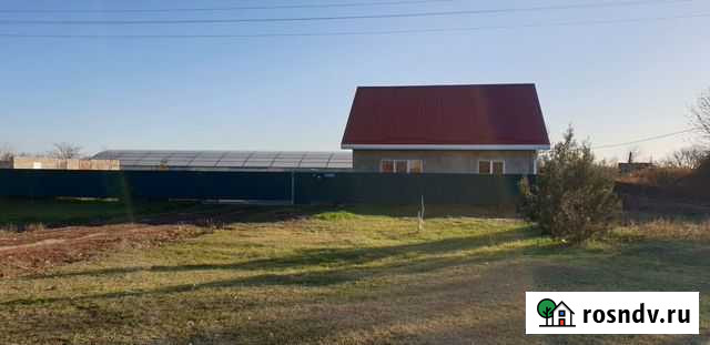 Тепличный комплекс Новолеушковская - изображение 1