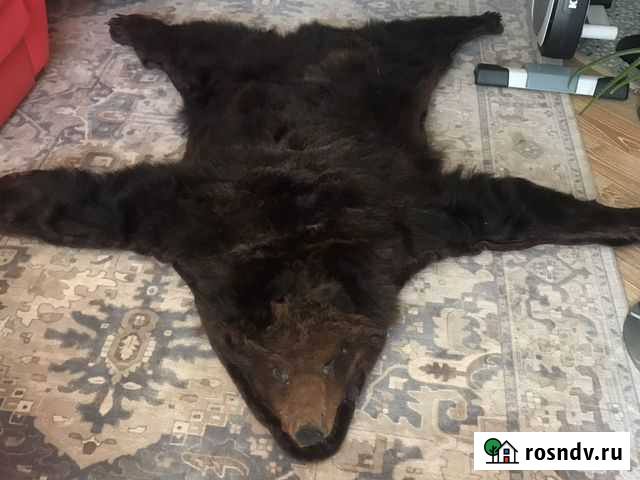 Шкура медведя (имитация) Сосновоборск - изображение 1