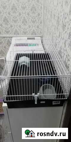 Клетка для грызунов Чехов - изображение 1
