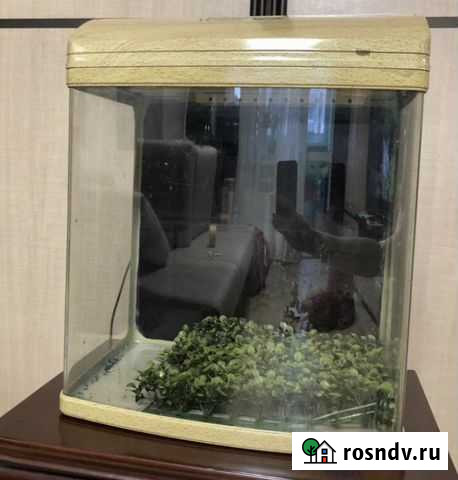 Аквариум 35 литров Комсомольск-на-Амуре - изображение 1
