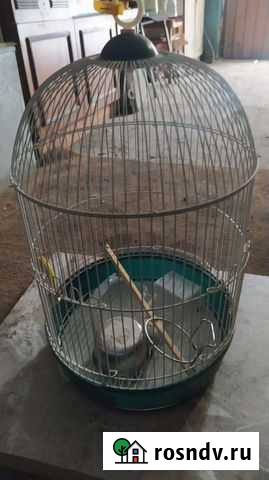 Клетка для волнистых попугаев Линево - изображение 1