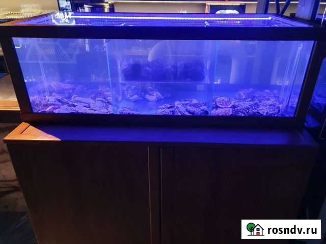 Аквариум для устриц, ежей, крабов Набережные Челны - изображение 1