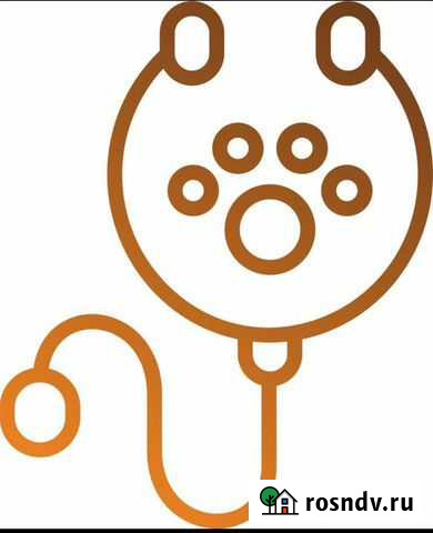 Ветеринарная клиника Казань - изображение 1