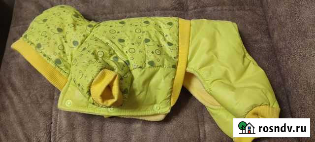 Одежда для маленьких собак Каменск-Уральский - изображение 1