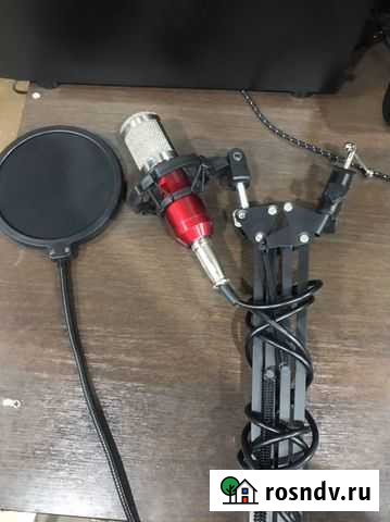 Игровой микрофон(студийный) Прямицыно - изображение 1