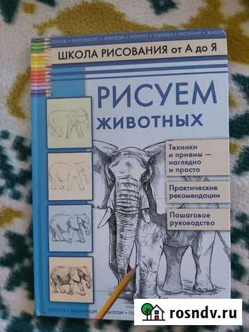 Книги Школа для рисования от А до Я Петрозаводск - изображение 1