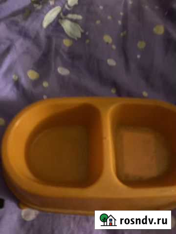 Продам лоток для кошачьего туалета с высокими борт Старый Оскол - изображение 1