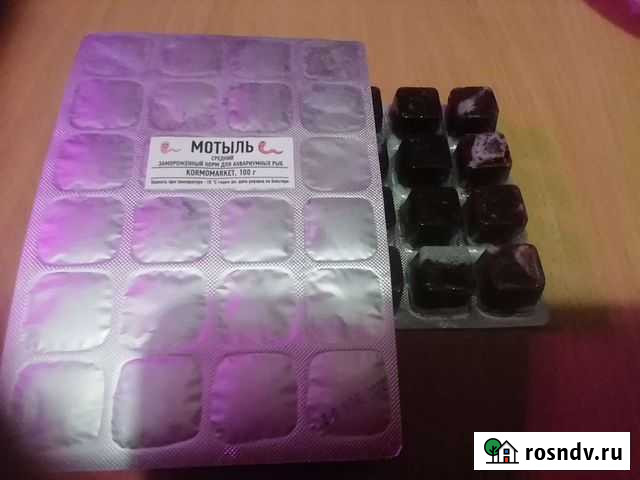 Мотыль замороженный Балахна - изображение 1