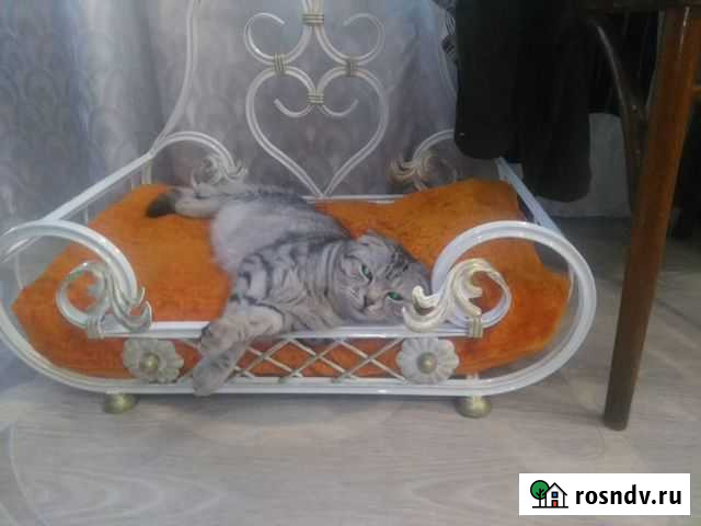 Кованая мебель (кроватки для домашних питомцев и т Гурьевск - изображение 1