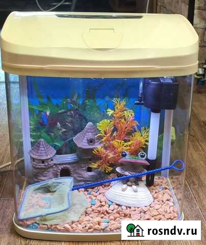 Два аквариума Благовещенск - изображение 1