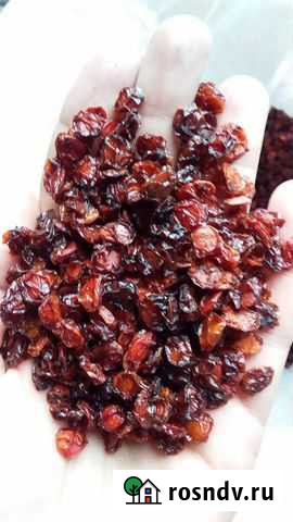 Калина сушеная Бийск - изображение 1