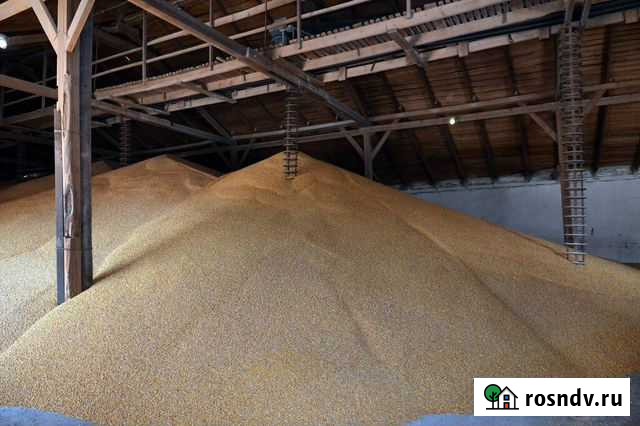 Корма, зерно, крупы, пивная дробина Промышленная - изображение 1