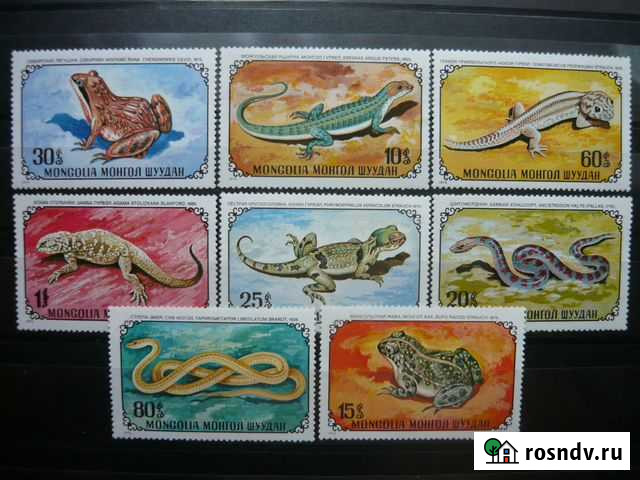 Земноводные и пресмыкающиеся Ижевск - изображение 1