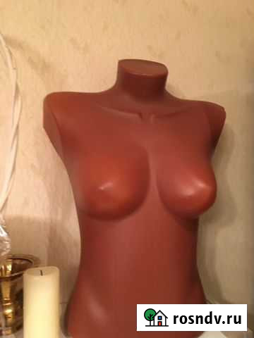 Пластиковые половинки женского торса Гурьевск - изображение 1