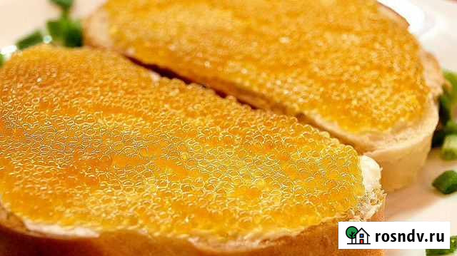 Шучья астраханская икра Волгоград - изображение 1