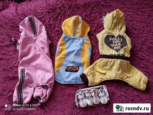 Одежда и обувь для маленькой собачки Мытищи - изображение 1