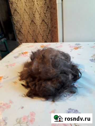 Пух козы Тамбовка - изображение 1