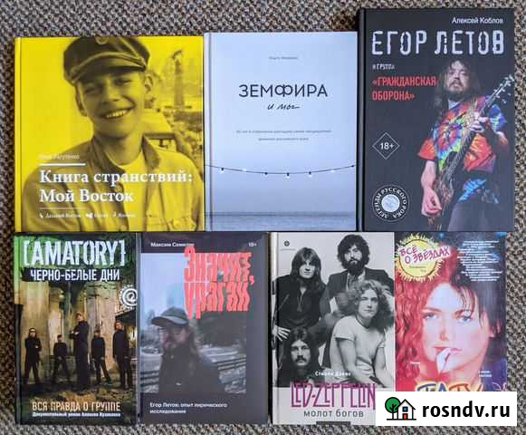 Лагутенко, Земфира, Amatory, Летов, Zeppelin, Tatu Новочеркасск - изображение 1