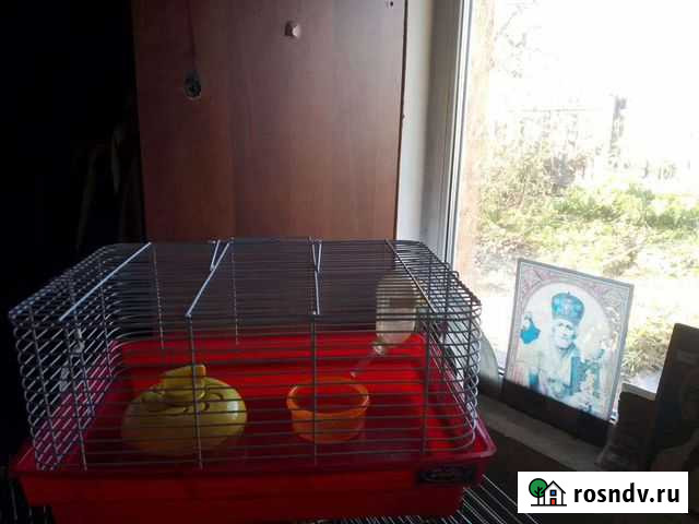 Клетка для грызунов Новокузнецк - изображение 1