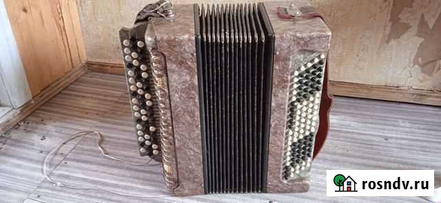 Баян Санкт-Петербург - изображение 1