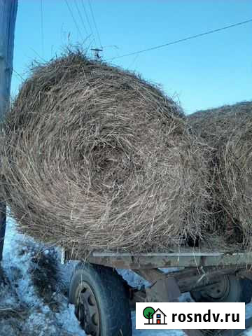 Сено Новоалтайск - изображение 1