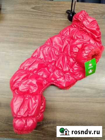 Комбинезон для собаки Ангарск - изображение 1