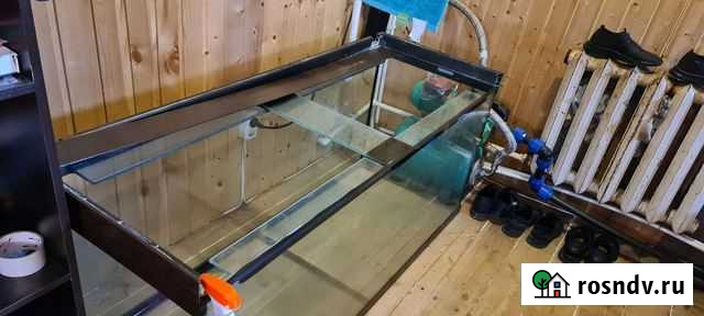 Аквариум Загорянский - изображение 1